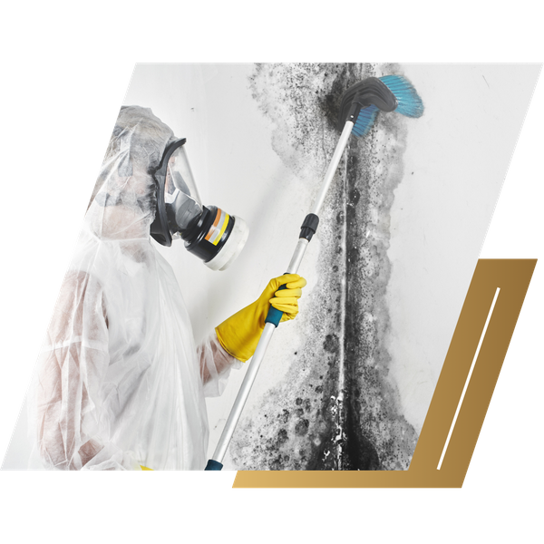 scrubbing moldy wall wearing PPE