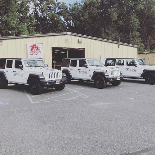 Fleet of custom jeeps