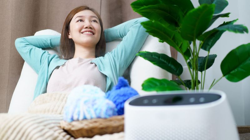 woman with air purifier