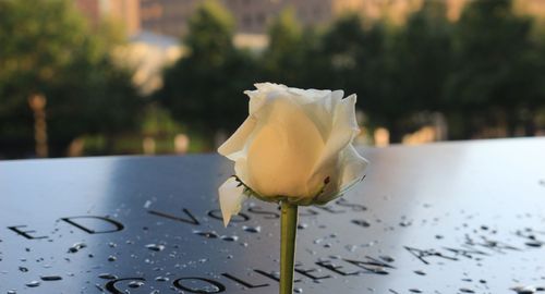 Style Guide - Hero.jpg