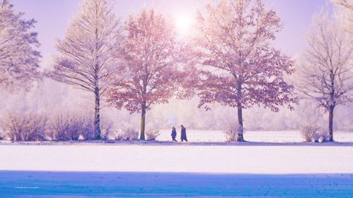 People walking in the winter