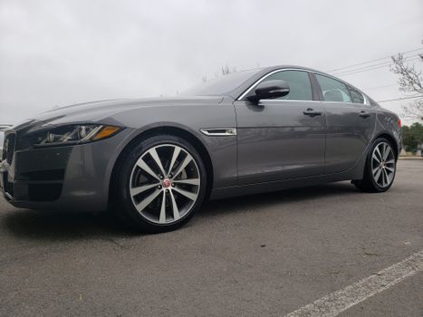 Grey-Jaguar-5ecc78d51cb57-2000x1500.jpeg