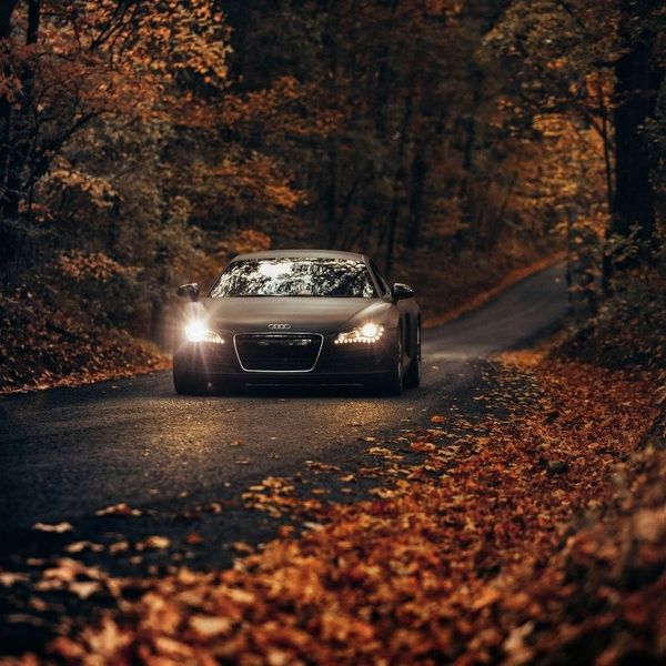 A luxury car driving down a wooded street