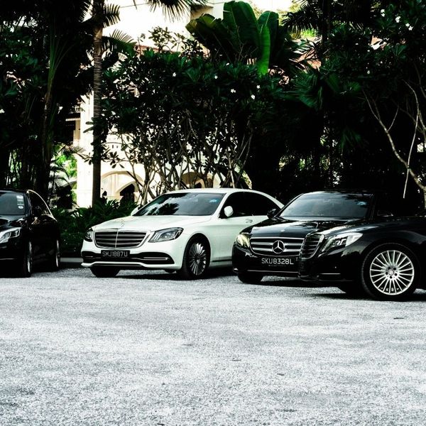 Luxury cars parked in a driveway