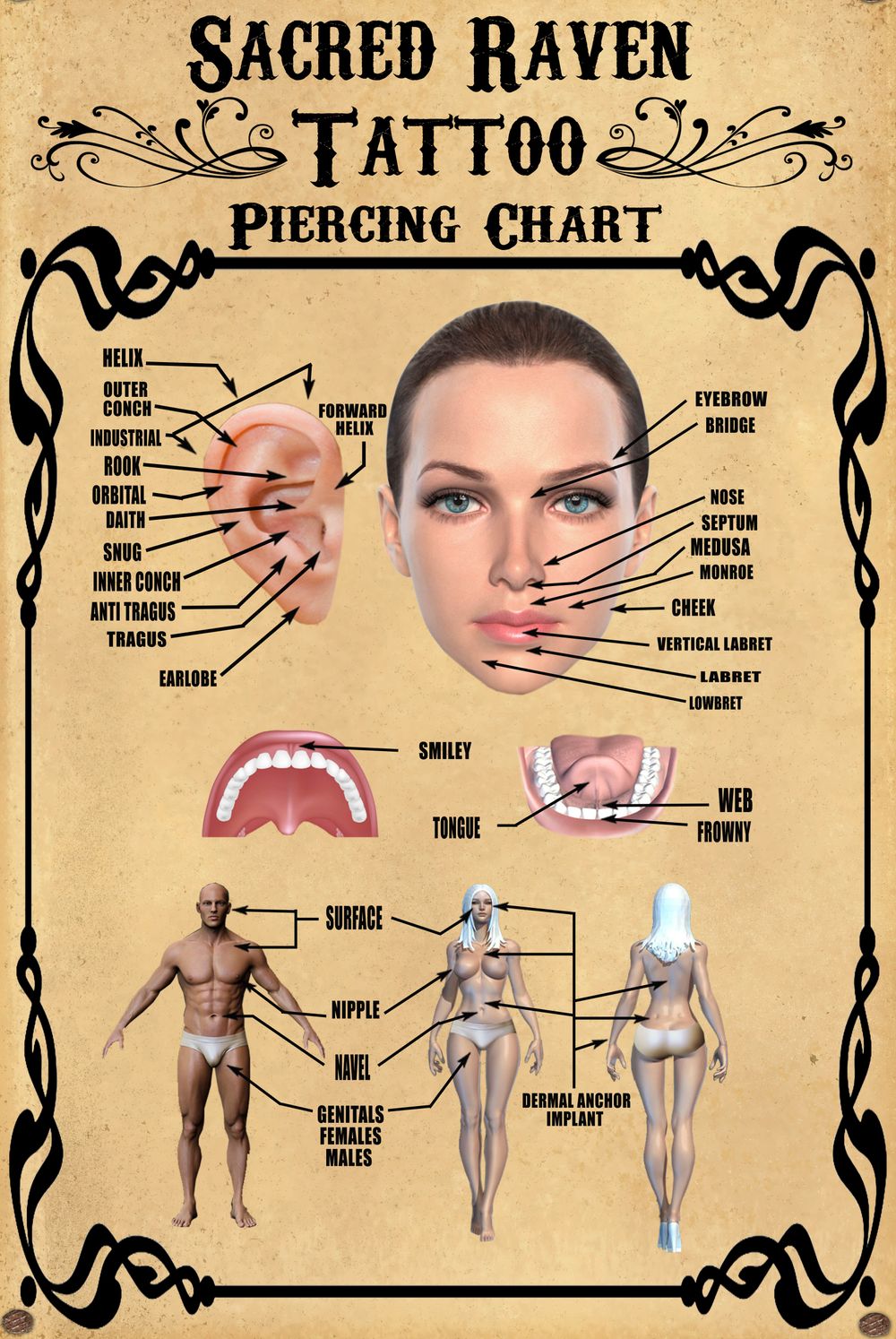 Sacred Raven Tattoo Piercing Chart