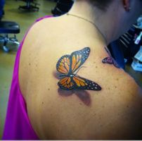 IMG-8272-5d0931bb2ccf7.jpg