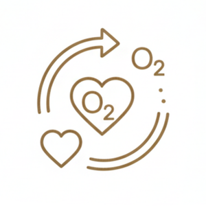 Gold icon of hearts and O2 oxygen symbols with circular arrows, illustrating improved circulation and enhanced tissue oxygenation.