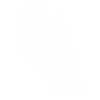 Pre and Post Instructions icon 2.png