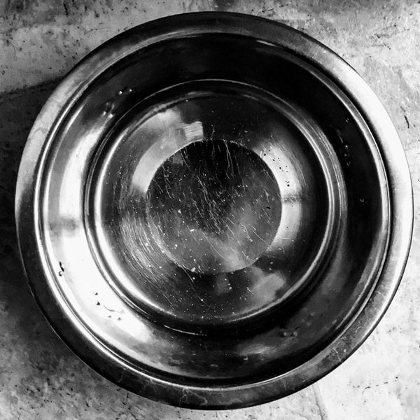 empty dog bowl