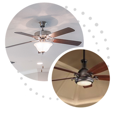 fans-5f35a43002f20.png