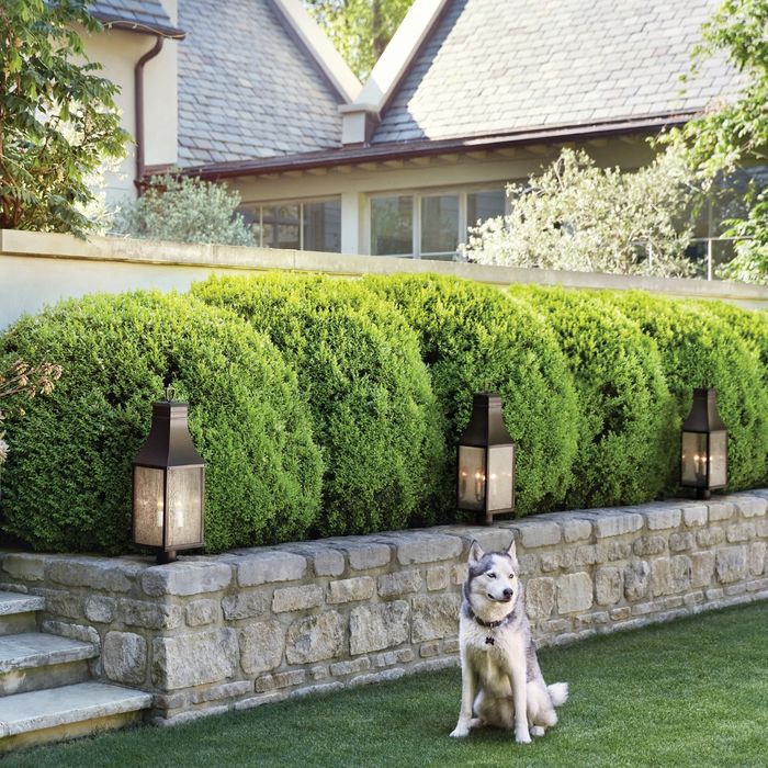 exterior lighting in garden