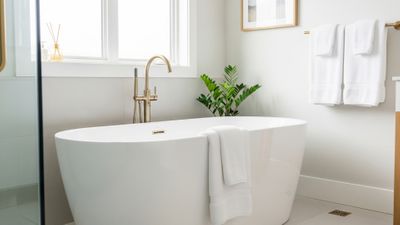 A luxurious master bathroom featuring a freestanding tub and high-end finishes, an example of a luxury bathroom remodel.