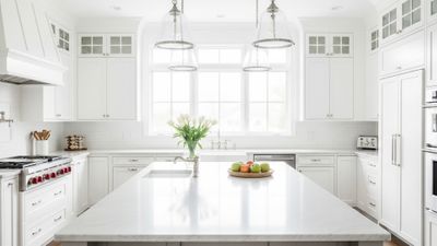 A beautifully organized modern kitchen, showcasing effective storage solutions.