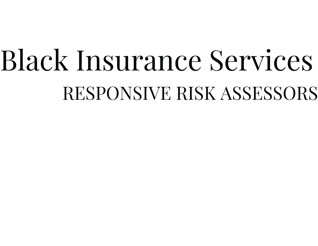 Black Insurance Services