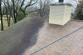 roof cleaning.jpg