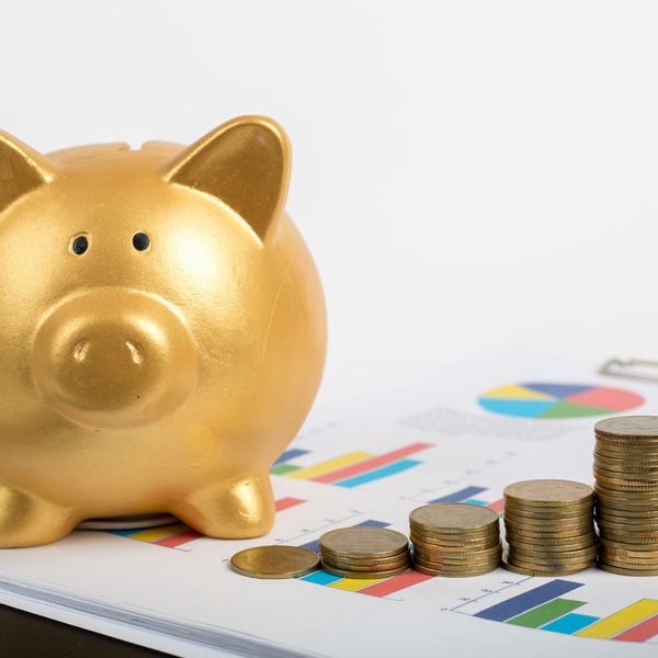 Piggy bank next to coins