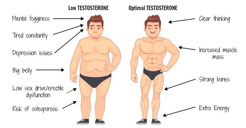 Testosterone.jpg