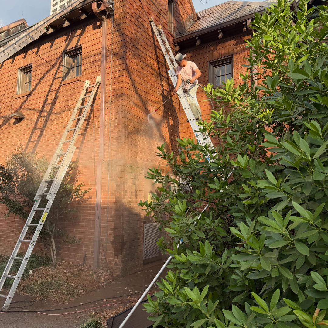 Pressure Washing - 3.png