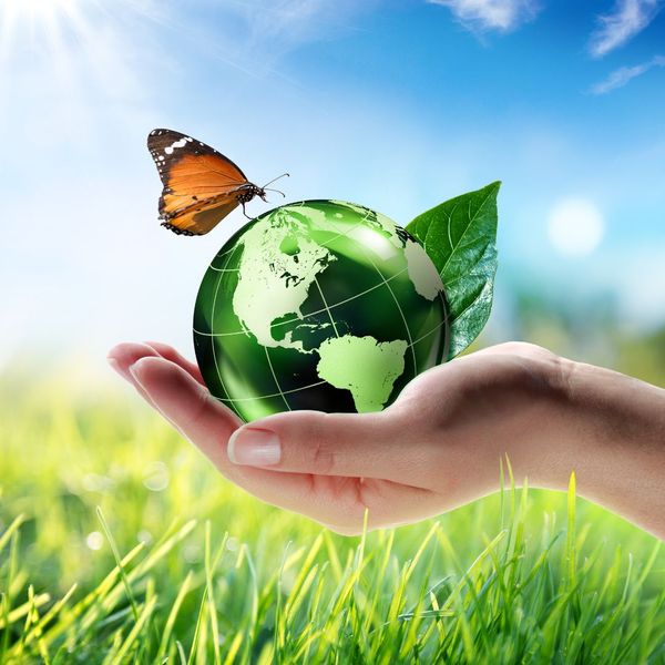 holding earth with green leave and butterfly