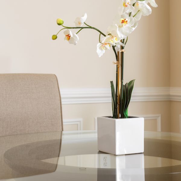 glass tabletop with orchid