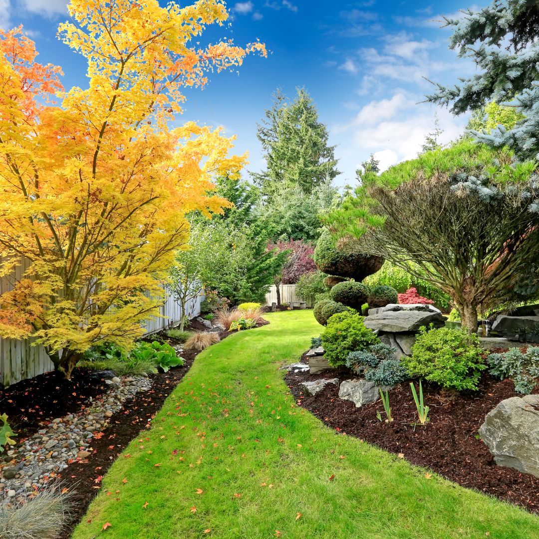 landscaped yard with beautiful trees and bushes
