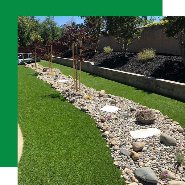 Importance of Xeriscaping