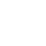 Hand Therapy PB Icon 3.png