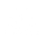 11.png