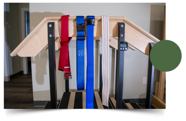 Hip replacement Physical and Occupational Therapy (2).png