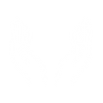 Hand Therapy PB Icon 1.png