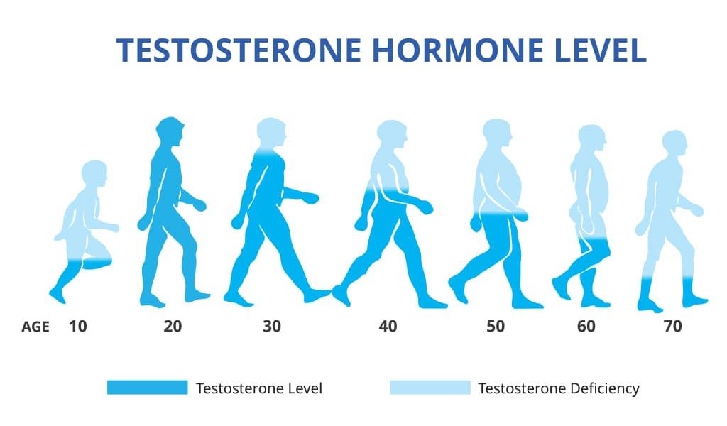 testosterone-age-changes.jpg