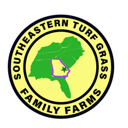 LIGHTER YELLOW 75 OPAQUE - LIGHTER GREEN-new SETG logo-4.5 SOLID INNER  COLOR (1).png