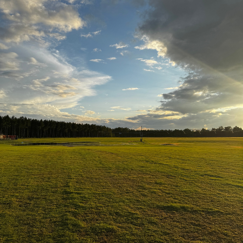 M330024 - Southeastern Turf Grass - Gallery Images.png