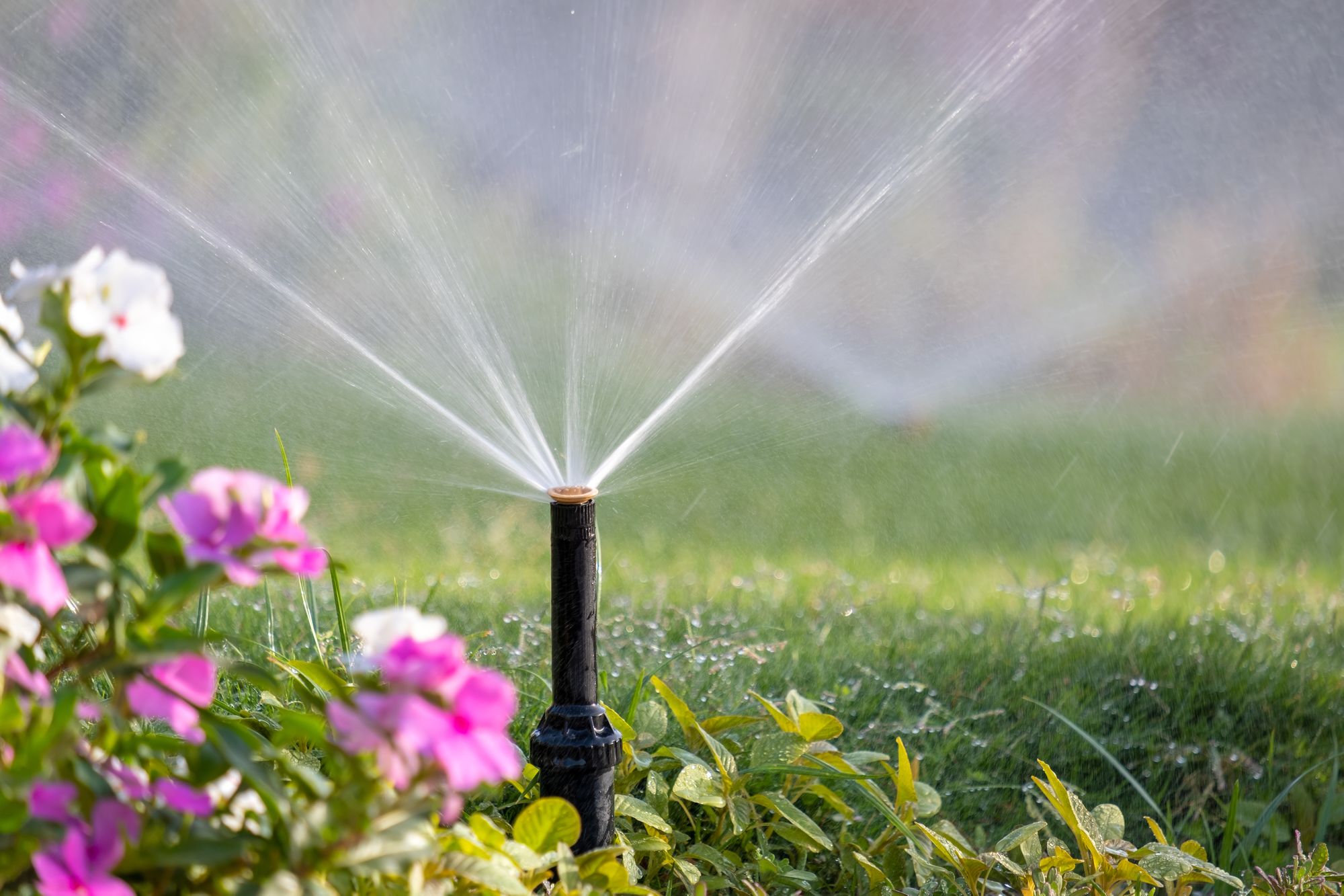 SMALL IRRIGATION SPRAY .jpg