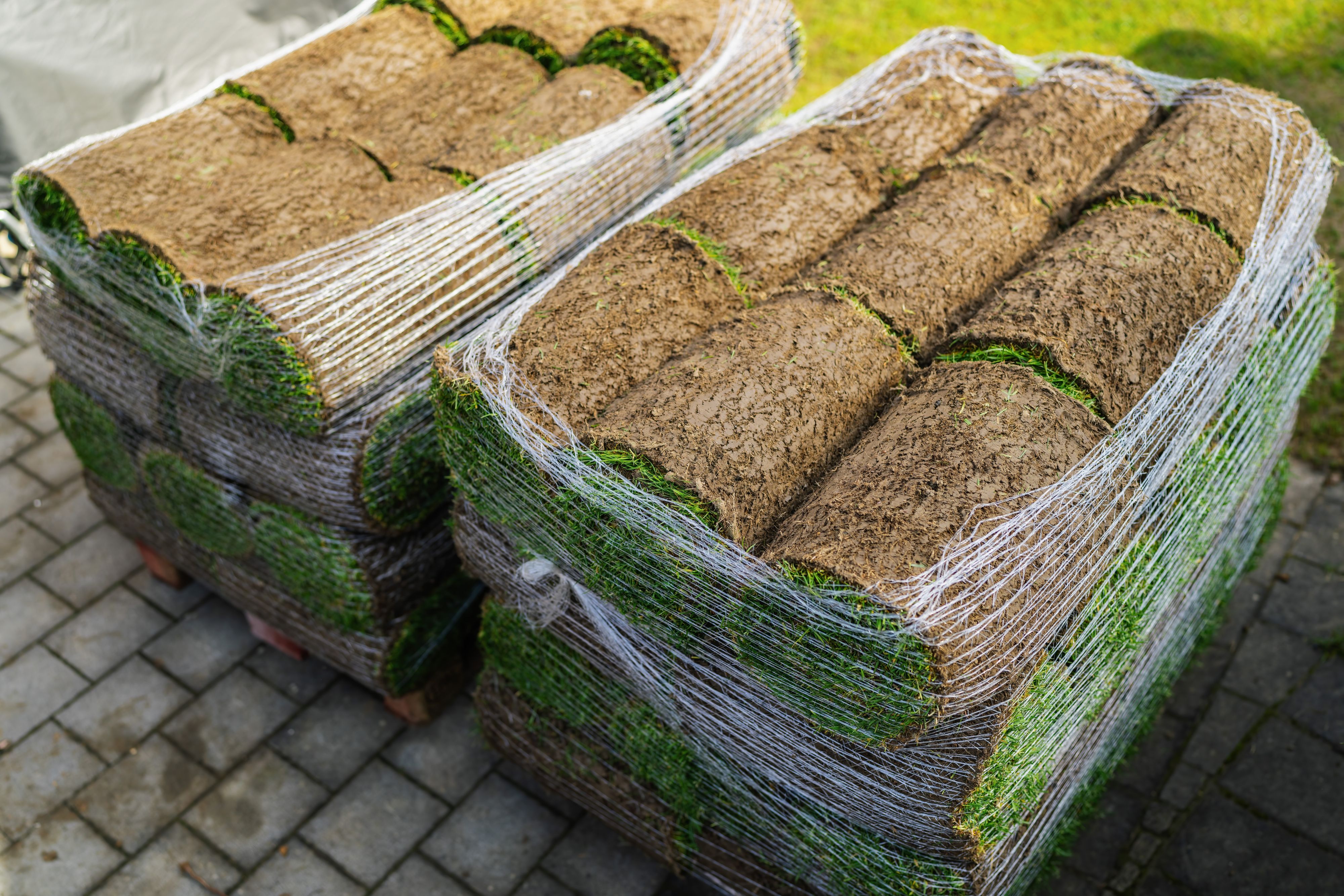 2 PALLETS OF MINI ROLLS.jpg