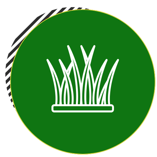 grass icon.  grass icon.