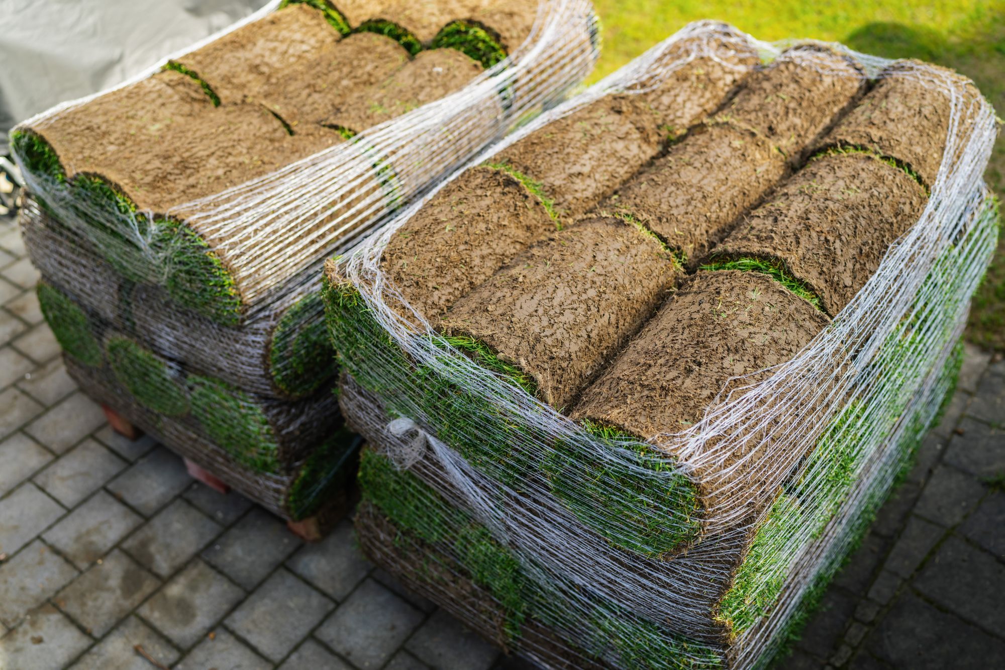 2 PALLETS OF MINI ROLLS.jpg