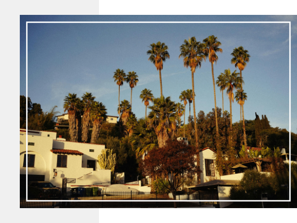 Calabasas - 1.png