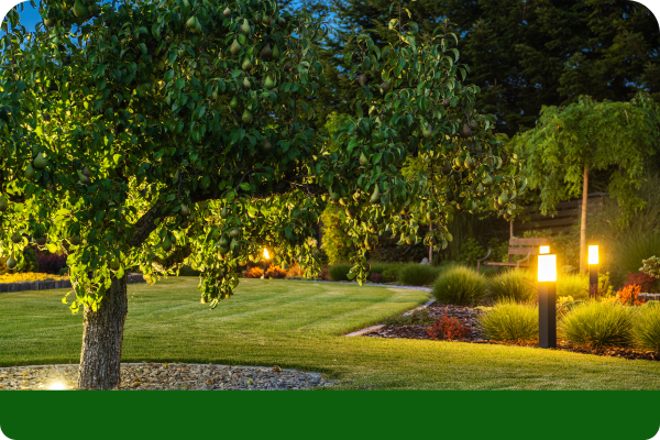 lights in the garden beds and trees