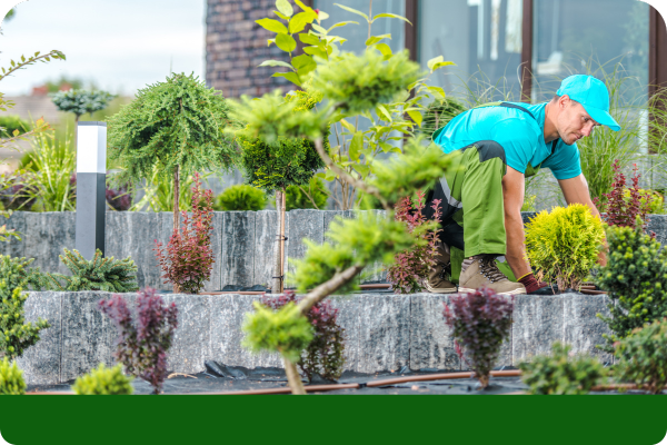 landscaper adding plants 