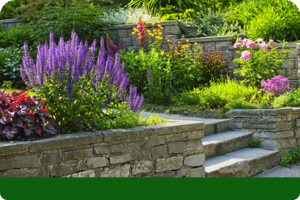 retaining walls with plants 