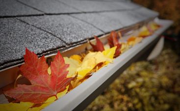 image of leaves in a gutter