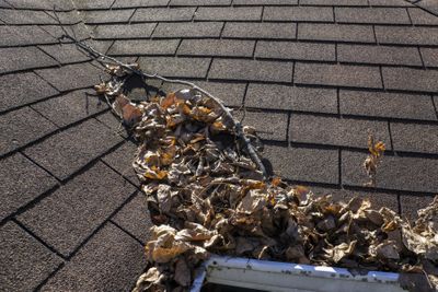 Image of clogged gutters