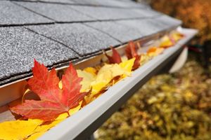 Image of leaves in gutters