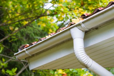 Image of clogged gutters