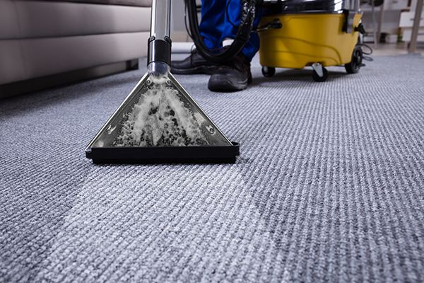 Facilities management pest control