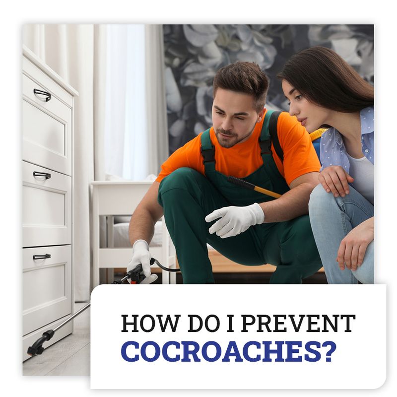 Cockroach pest control