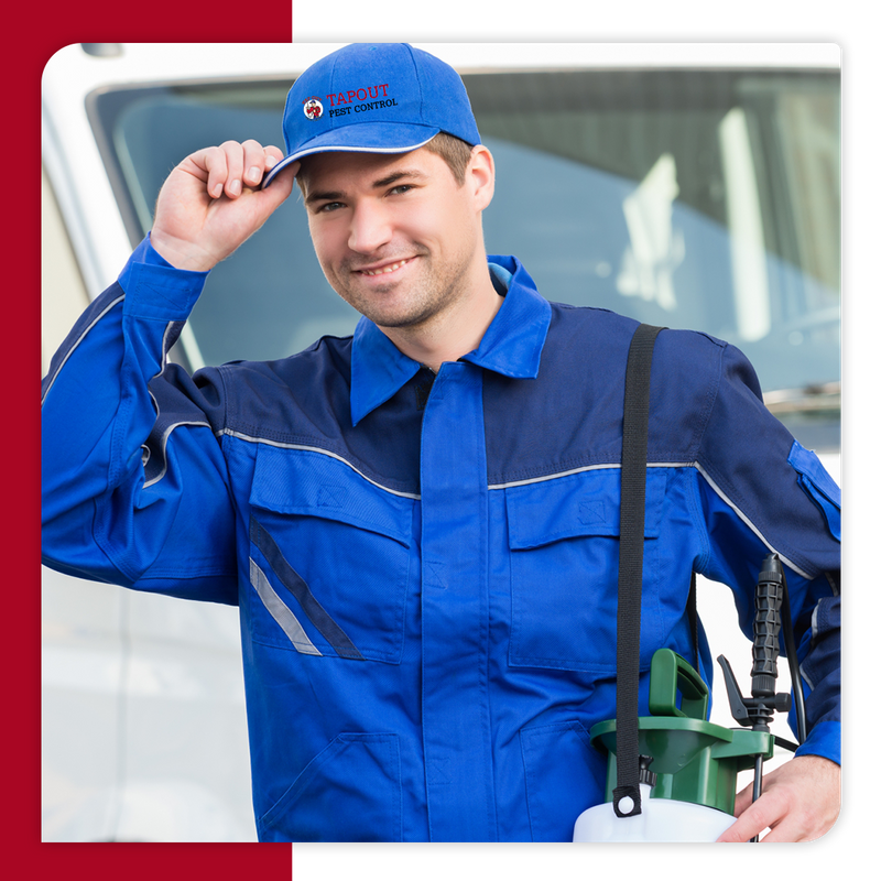 Professional exterminator and pest control