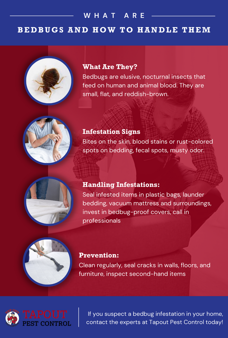 Bed Bug Services