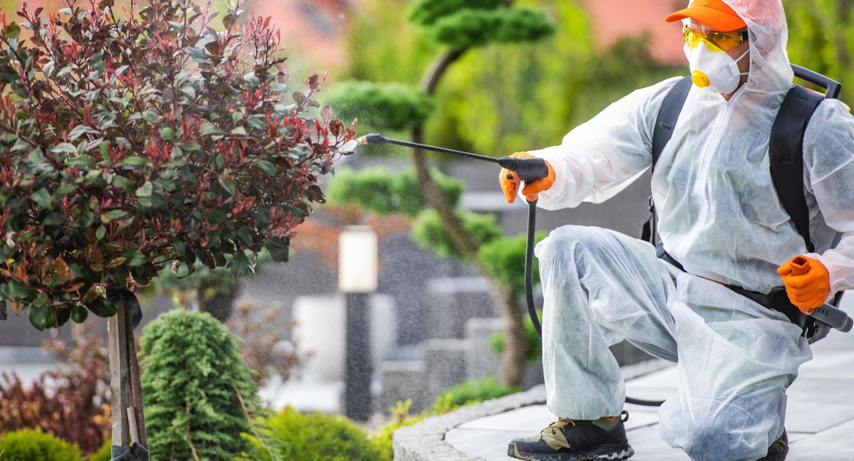 Four Reasons Preventative Pest Control Is So Important - Blog - Feature.jpg